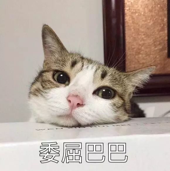 鱼美人