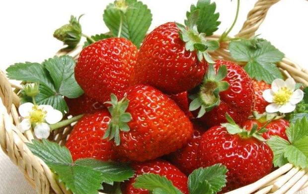 草莓的营养价值与副作用