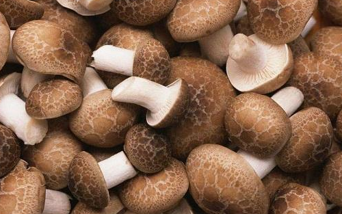 多吃蘑菇的6个益处